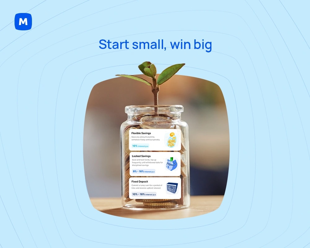 How to Save Smarter in Nigeria (and 
        Earn Up to 18% While at It)